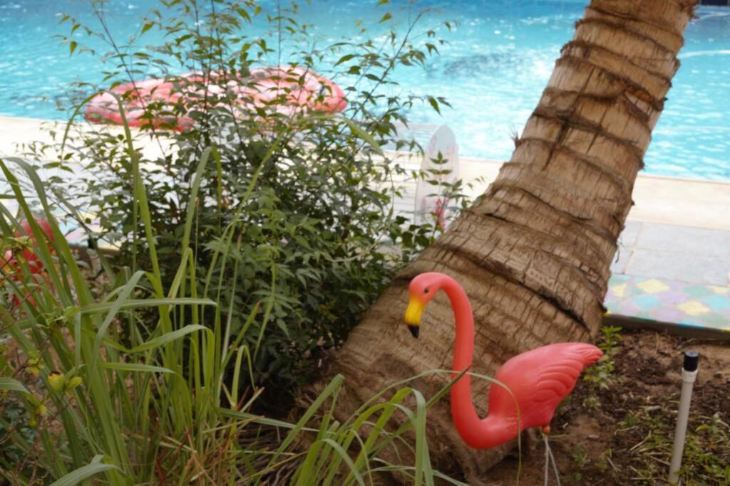 B-Lbait Yanbu Villa Garden المظهر الخارجي الصورة